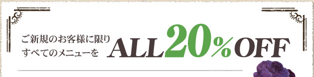 ご新規のお客様に限り、すべてのメニューをAll２０％Off